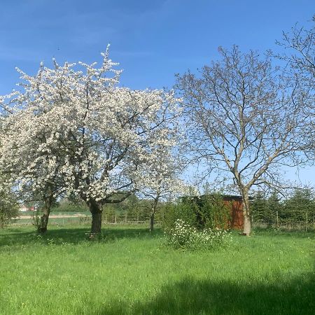 Ferme rénovée 300M2 La Casa JEB : Charme, Calme et Nature Moncheaux Extérieur photo